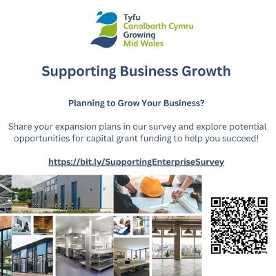 Supporting Business Growth survey poster English